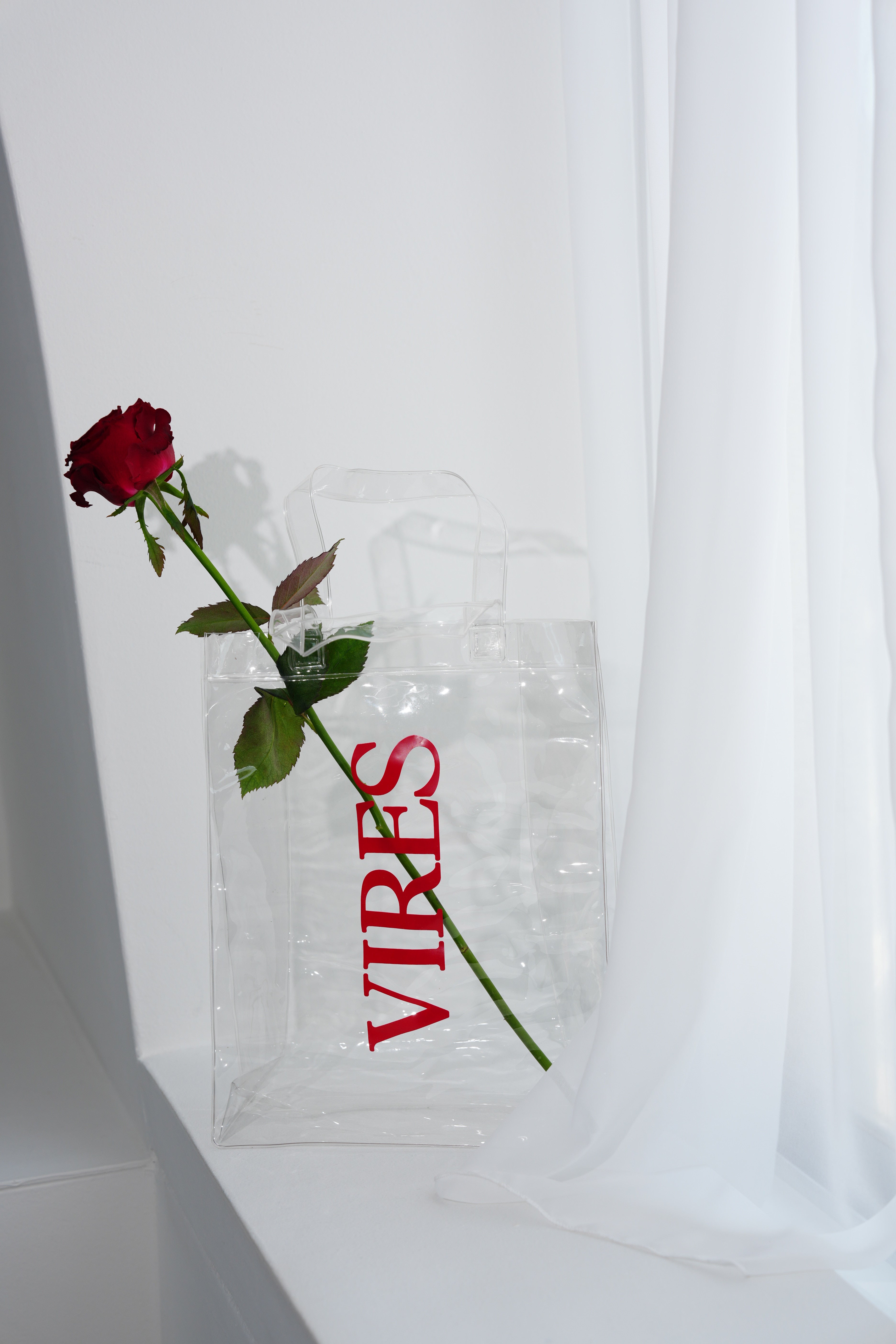 VIRES Clear Bag